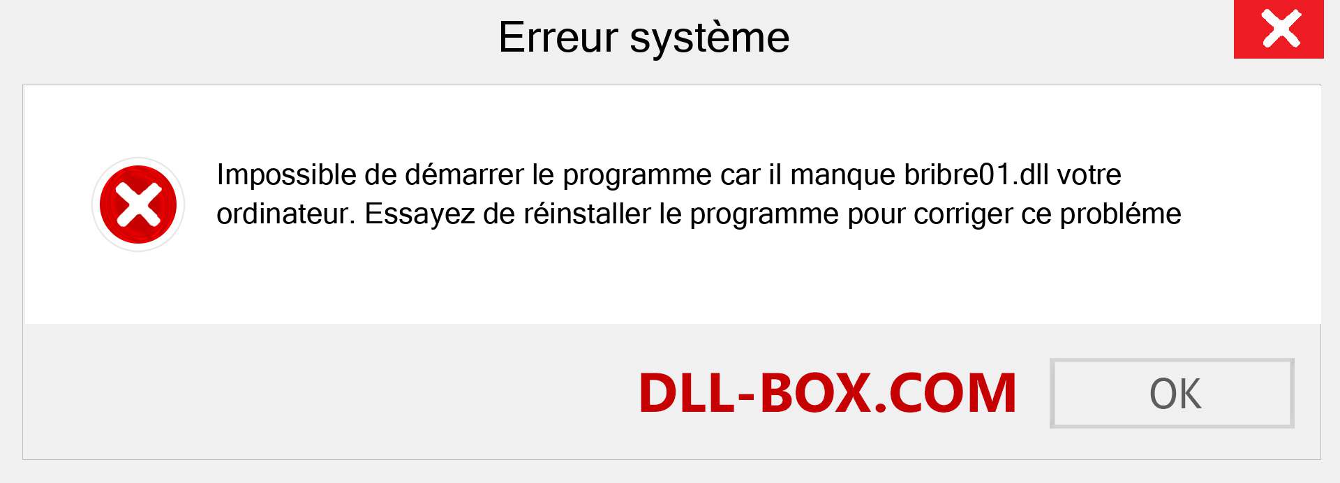 Le fichier bribre01.dll est manquant ?. Télécharger pour Windows 7, 8, 10 - Correction de l'erreur manquante bribre01 dll sur Windows, photos, images